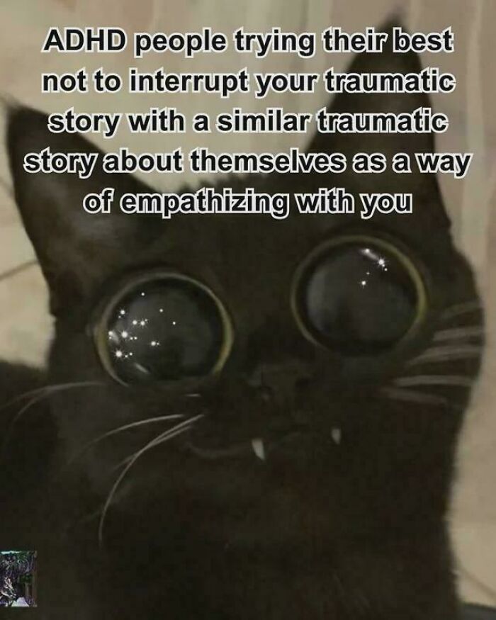 Funny ADHD memes about trying not to interrupt a friend's story with a black cat looking intense