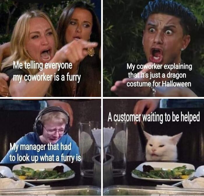 The woman yelling at a cat meme used to showcase funny internet comments about furry coworkers