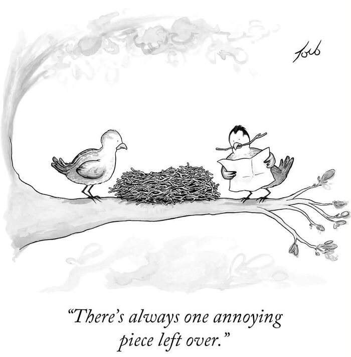 Cartoon of two birds on branch with one annoyed about leftover twig piece