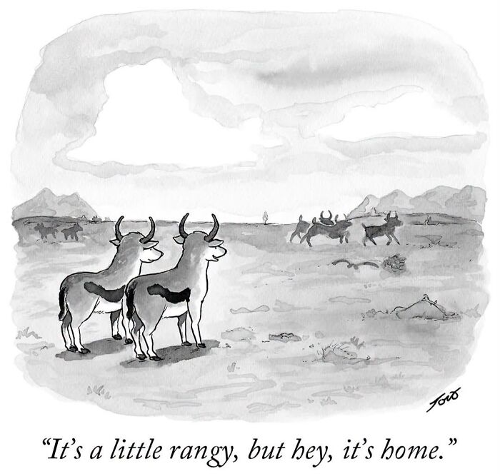 One-panel comic showing two ranch animals with a scenic range background by Tom Toro