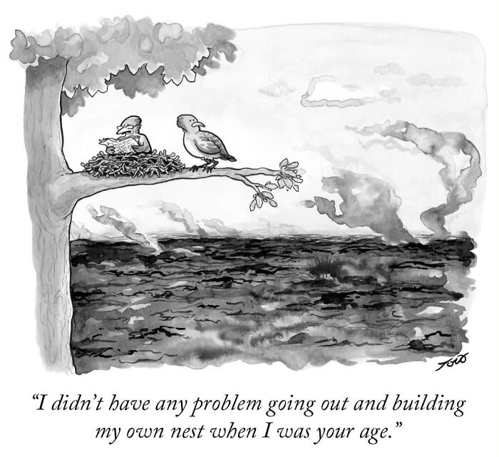 Tom Toro comic of two birds debating building a nest amid a smoky, desolate landscape.