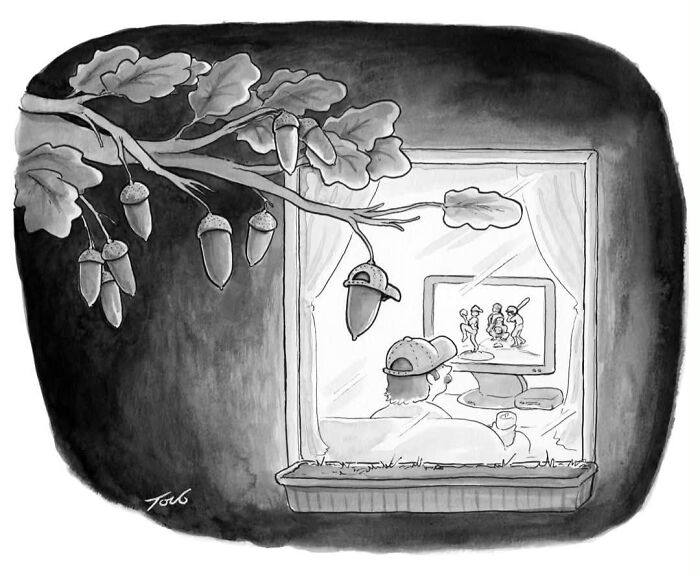 Comic by Tom Toro featuring an acorn outside a window watching baseball on TV.