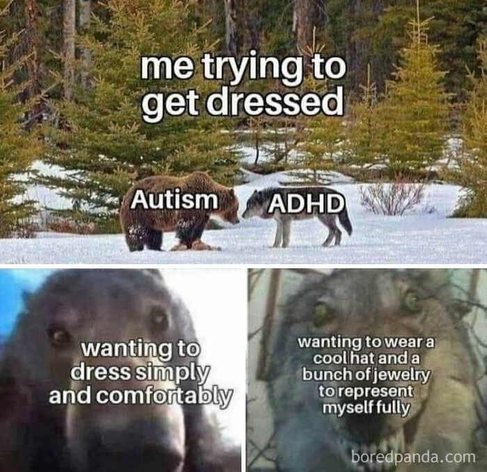 Funny ADHD meme comparing autism and ADHD fashion choices using a bear and a wolf.