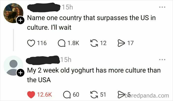 Online comments highlighting how Americans confidently posted funny remarks on culture.