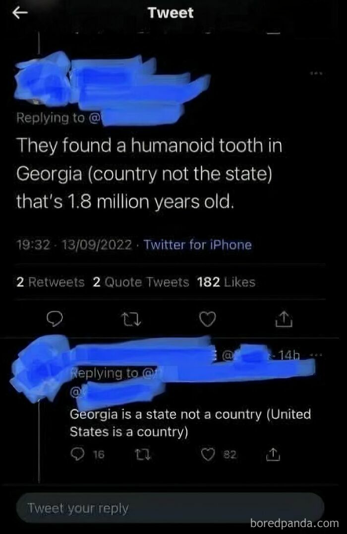A social media exchange where Americans confidently post incorrect geographical facts about Georgia.