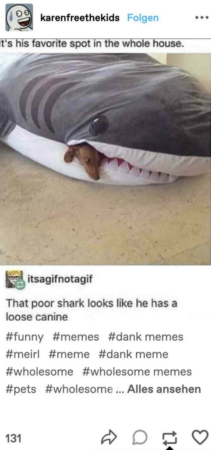 Dog resting inside a shark-shaped pet bed with sarcasm humor