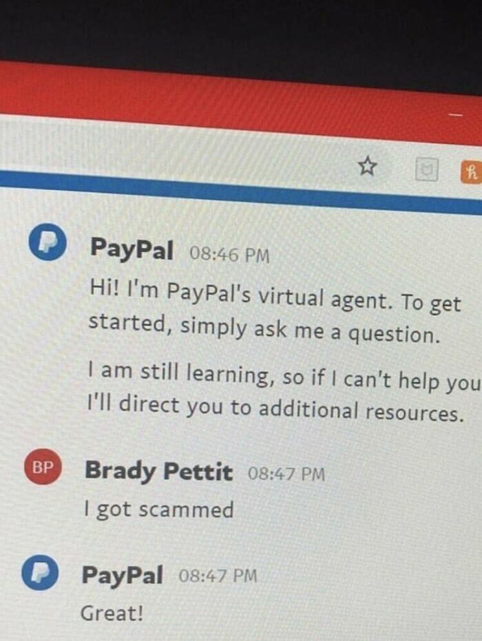 Sarcastic PayPal virtual agent replying Great to scam report