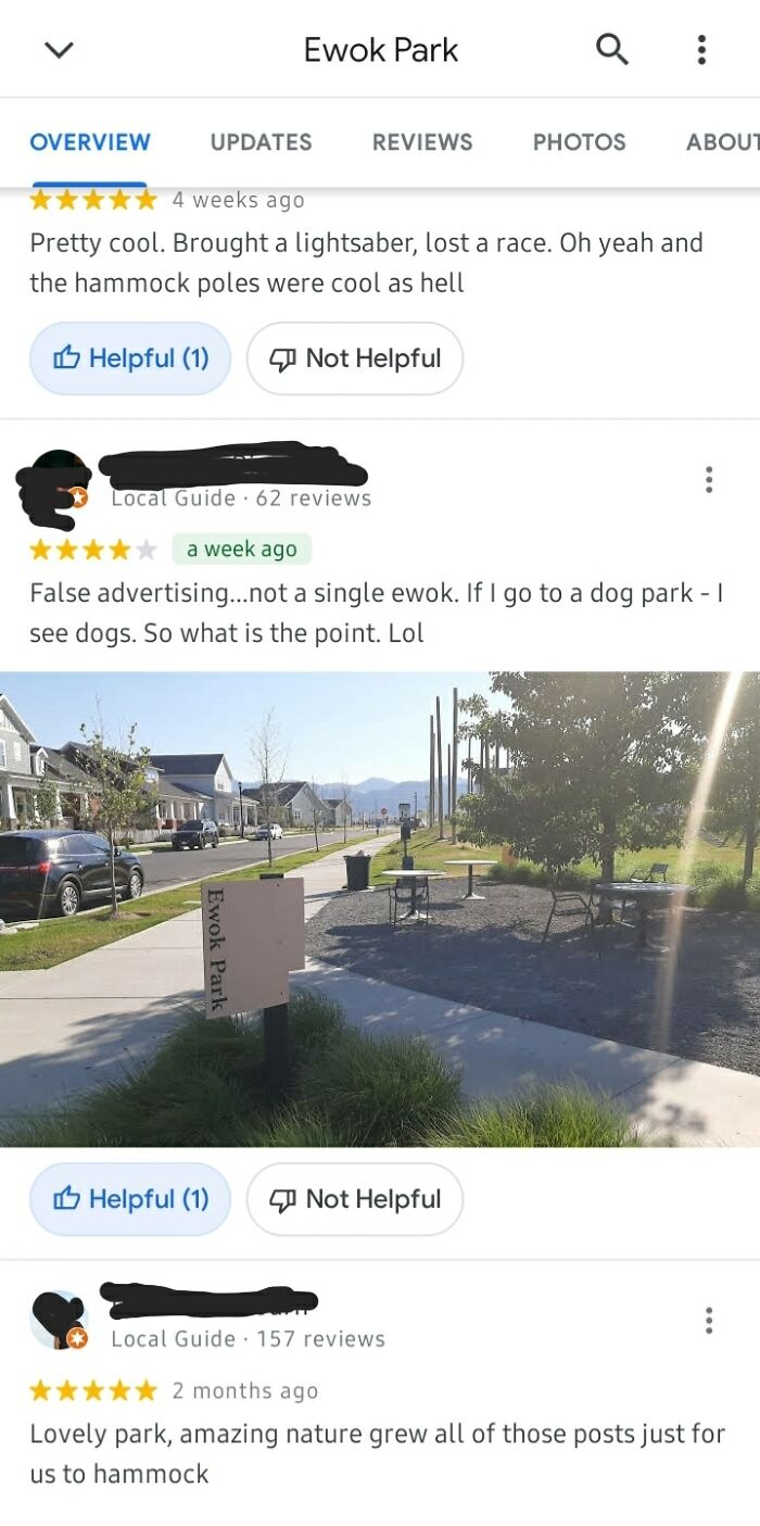 Sarcastic Google review claiming no Ewoks visible in Ewok Park dog park