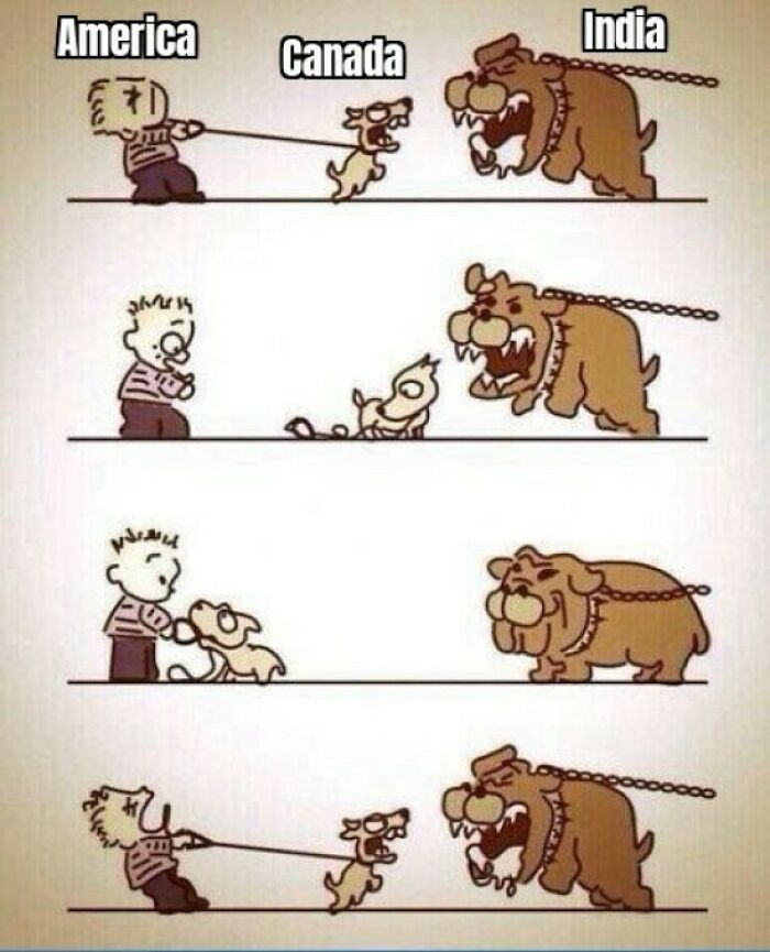 Cartoon showing America, Canada, India with dogs and bears on leashes