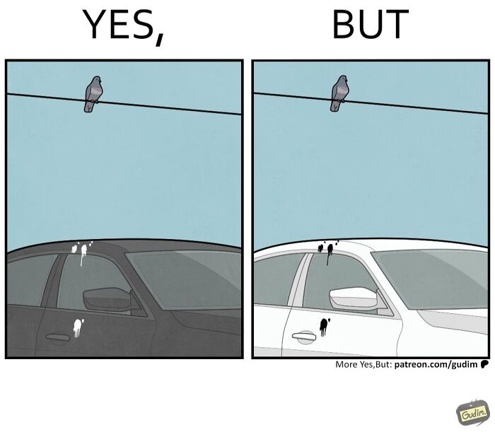 Yes but comic of birds leaving droppings on black and white cars