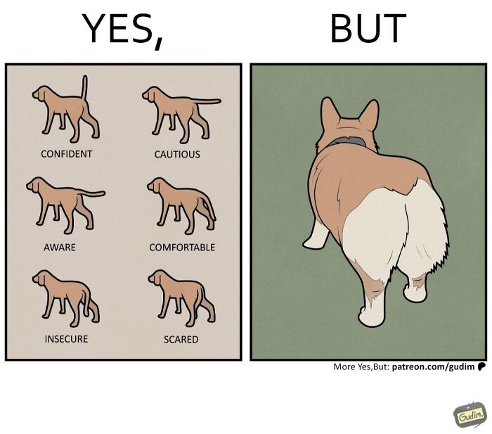 Cartoon shows dog emotions contrasted with corgi's rear in clever Yes But comics