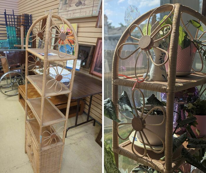 A vintage rattan flower shelf discovered as a thrift store find