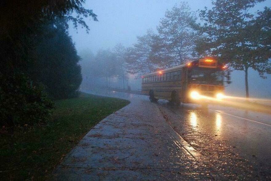 A yellow school bus driving on a foggy road, showcasing nostalgic pics of early 2000s school mornings