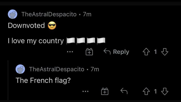 Reddit user who pretended to be someone else and embarrassed themselves commenting on their own post about the French flag
