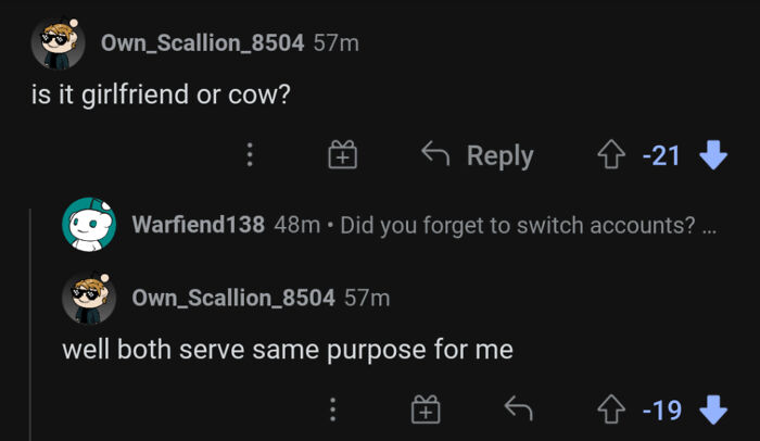 Reddit user forgets to switch profiles and comments on their own post, pretending to be someone else.