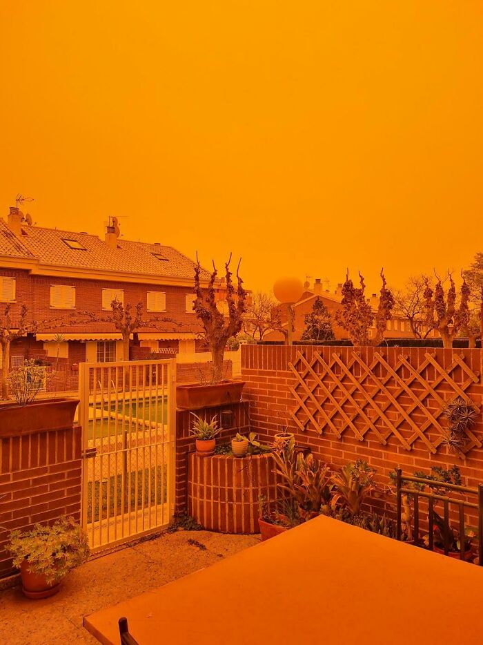 A residential backyard and patio under an eerie orange sky, a cool photo capturing an unusual event.