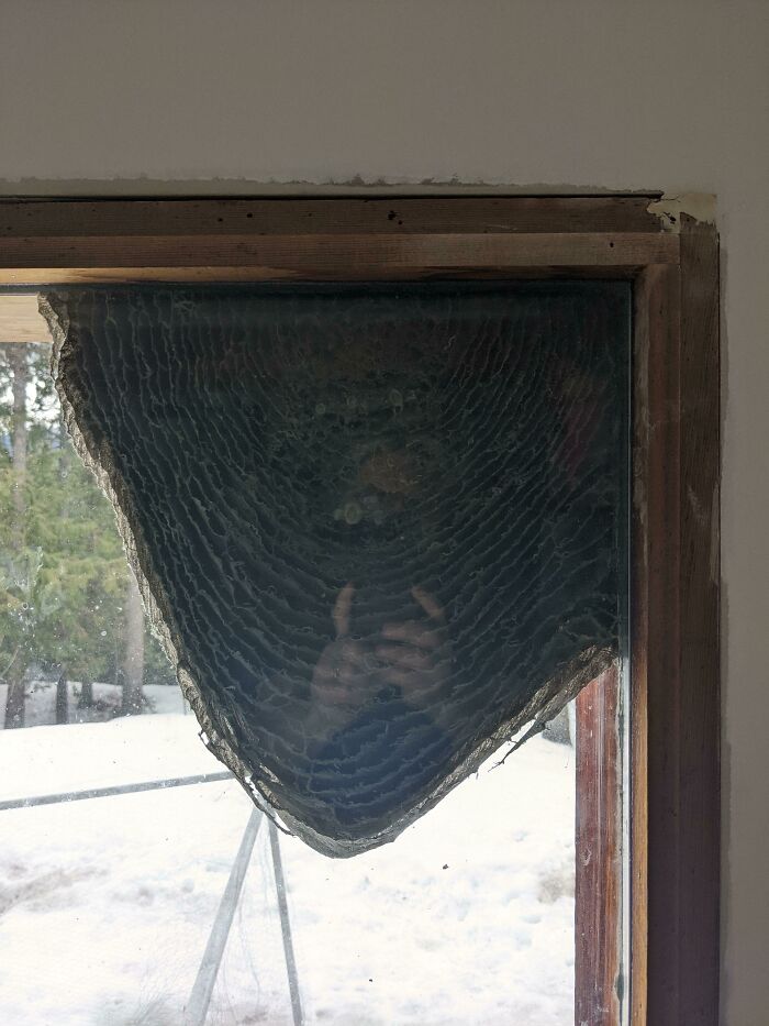 Cool photos showing a broken window pane with layered circular fracture patterns resembling tree rings