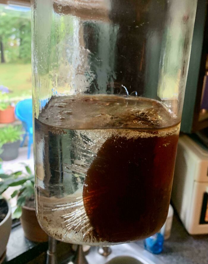 Interesting photos of a glass jar with frozen dark liquid forming unique patterns inside