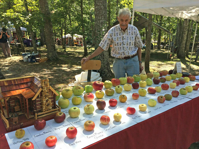 A man presenting a large, labeled collection of diverse historical apple varieties on a table.