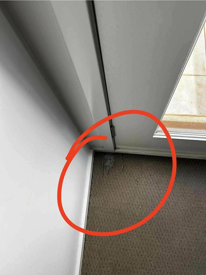 Close-up of a damaged carpet near a door frame, showing a renting and booking inspection issue.