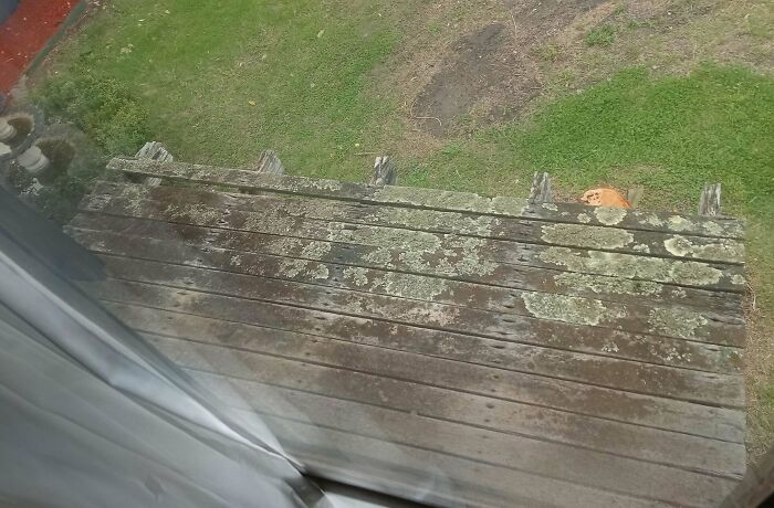 Weathered wooden balcony covered in mold, a visual example of regrettable renting conditions.