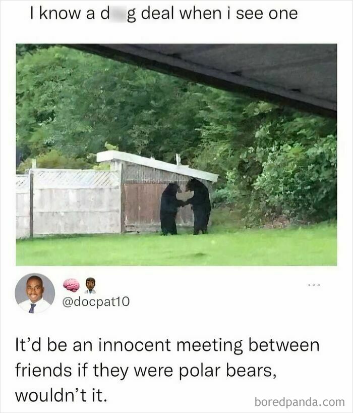 Edgy meme with two black bears and joke about polar bears meeting