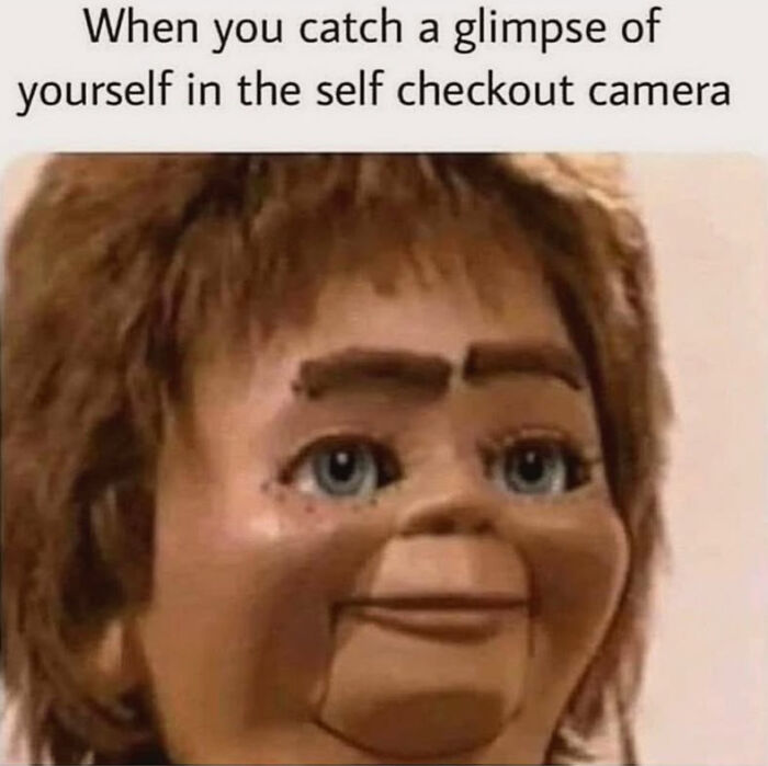 Meme with a doll face captioned with the joke about seeing yourself in self checkout camera