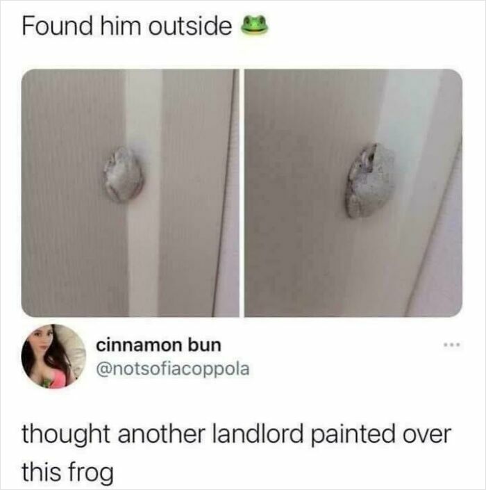 A small frog stuck to a door frame resembling a bad landlord paint job