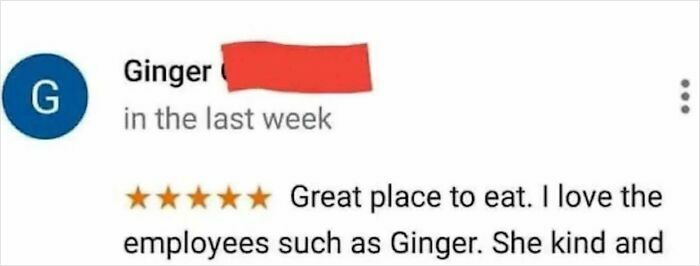 A five-star review where a customer named Ginger pretended to be someone else to praise herself