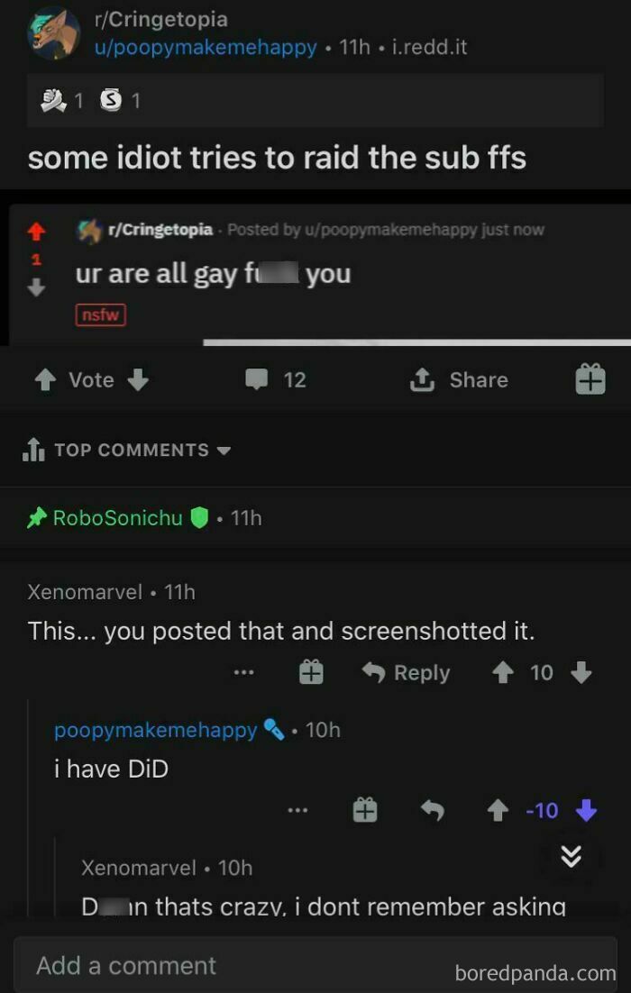 A Reddit thread where a user pretended to be someone else to complain about a raid they actually started themselves.