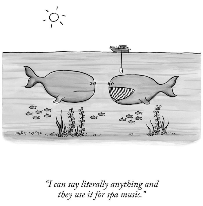 Cartoon meme of two whales with one complaining about spa music