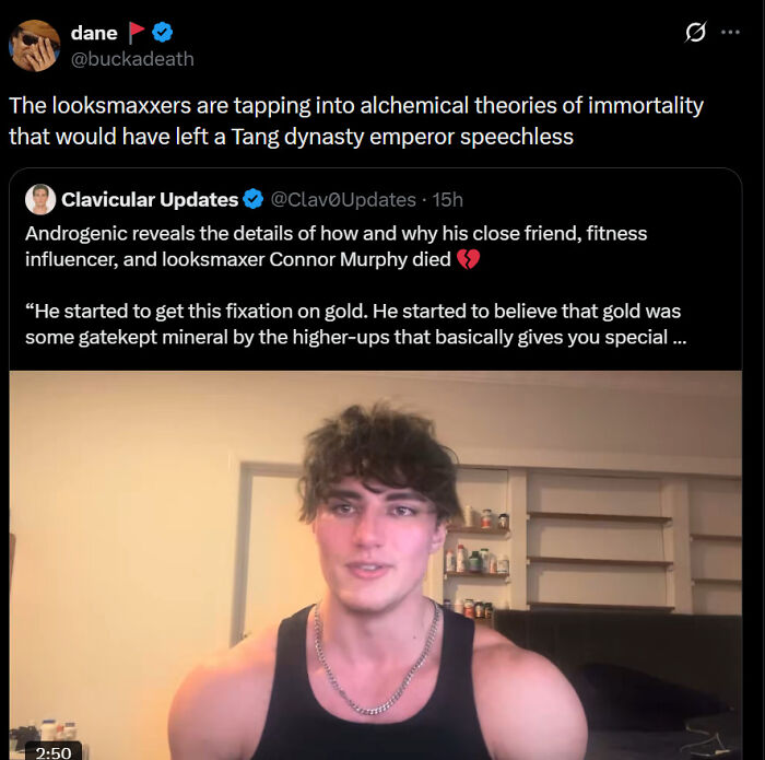 The Looksmaxxers Are Tapping Into Alchemical Theories Of Immortality That Would Have Left A Tang Dynasty Emperor Speechless