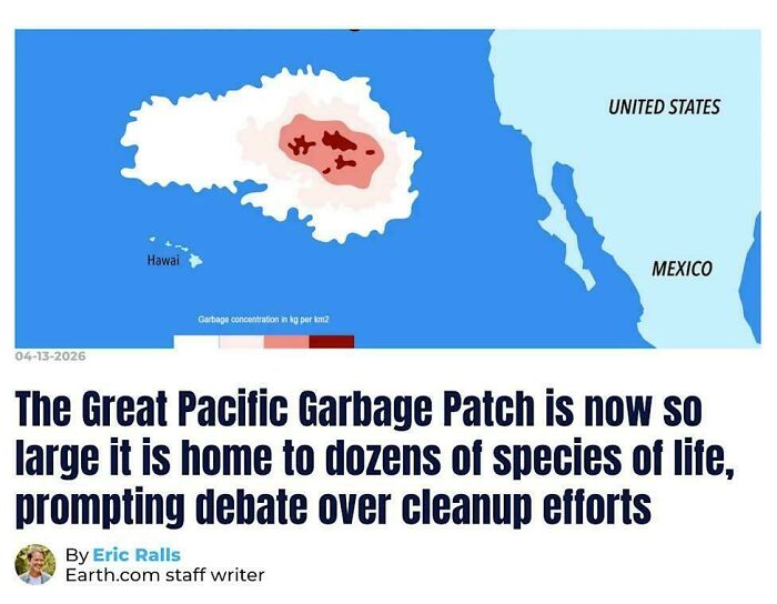 "The Great Pacific Garbage Patch Is Now So Large It Is Home To Dozens Of Species Of Life, Prompting Debate Over Cleanup Efforts"
