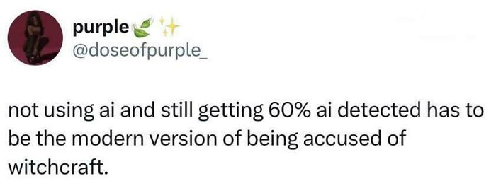 "Not Using AI And Still Getting 60% AI Detected Has To Be The Modern Version Of Being Accused Of Witchcraft"