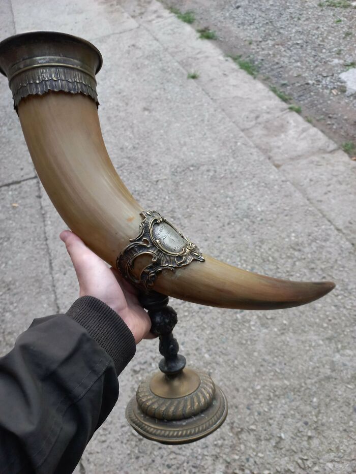 A antique horn drinking cup mounted on a brass stand, perfect old treasures for antique lovers
