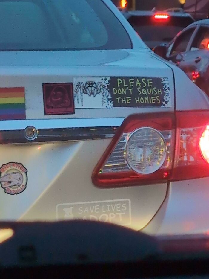 Wild bumper stickers on a silver car including one with a spider saying Please Don't Squish The Homies.