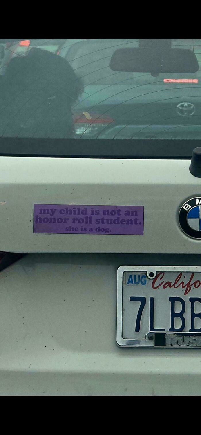 Humorous bumper stickers stating my child is not an honor roll student, she is a dog on a car trunk.