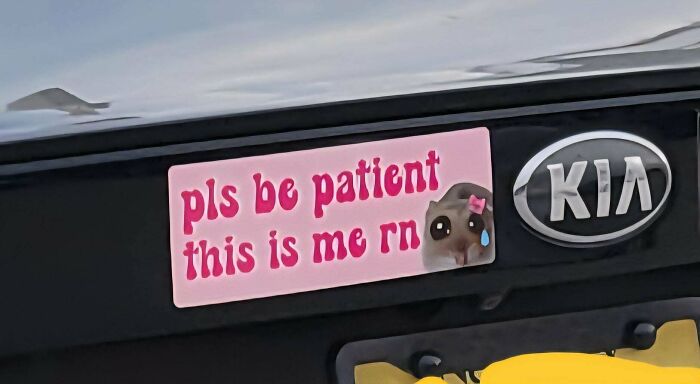 Funny pink bumper stickers reading pls be patient this is me rn with a crying hamster photo.