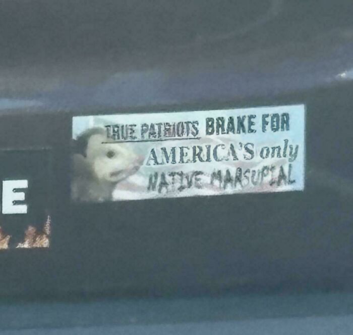 Wild bumper sticker on a car referencing patriots braking for marsupials.