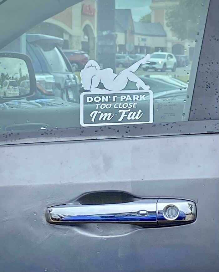 A car door decal with a silhouette figure reading Don't Park Too Close I'm Fat.