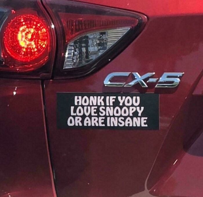 Funny bumper sticker on a red vehicle reading Honk if you love Snoopy or are insane.