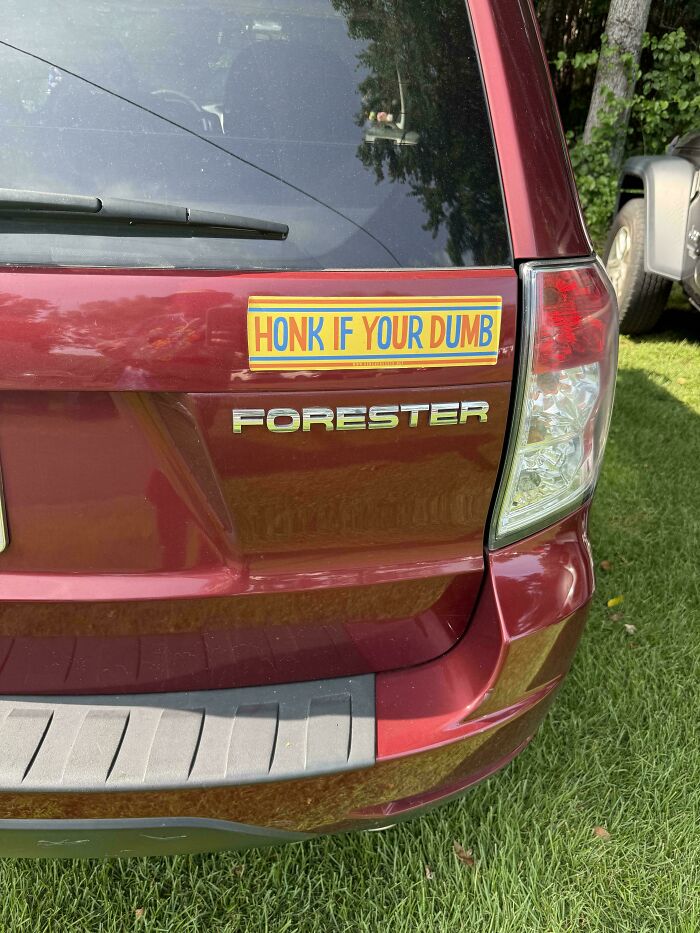 Yellow and blue bumper stickers on a red car trunk reading Honk If Your Dumb.