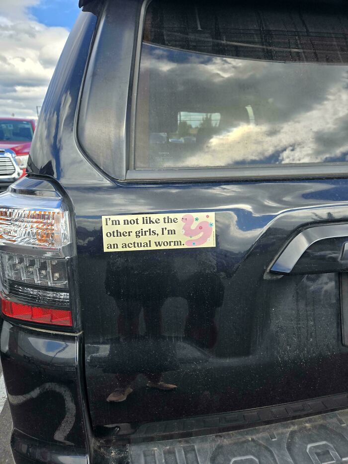 Funny bumper stickers on a black car featuring a worm illustration and humorous text