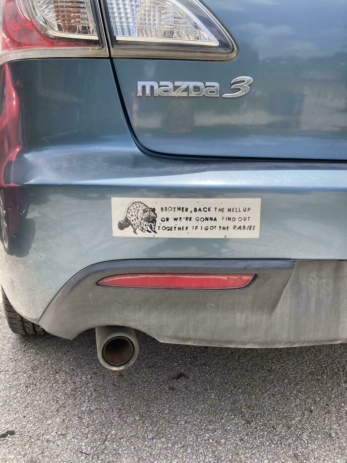 Humorous raccoon bumper stickers on a gray Mazda rear bumper warning tailgaters