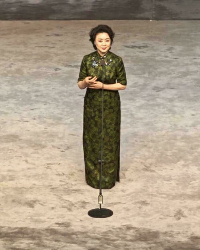 Woman standing behind a microphone stand blending perfectly with the background