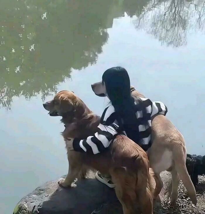 Person wearing a dog mask hugs two large dogs by a lake creating confusing visual