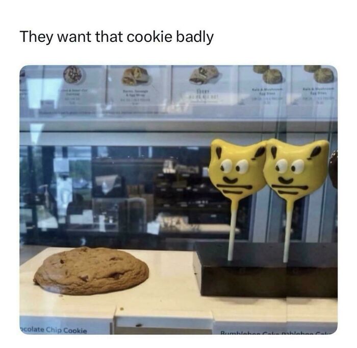 Funny cookie and bumblebee cake pops confusing the eye in a bakery display