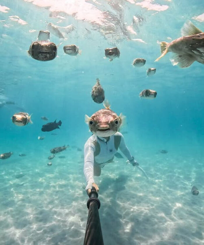 Underwater selfie with fish perfectly aligned to confuse the eye