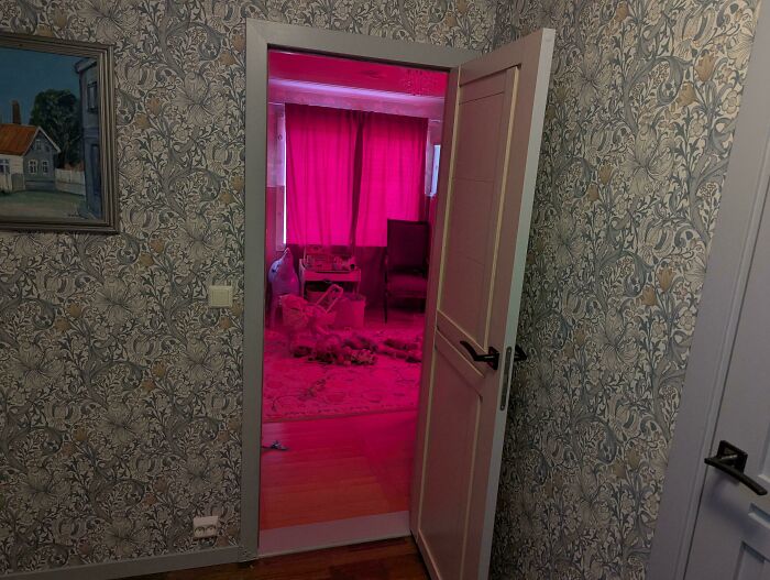 An open door leading to a room with bright pink lighting, showing funny or unhinged things wives do