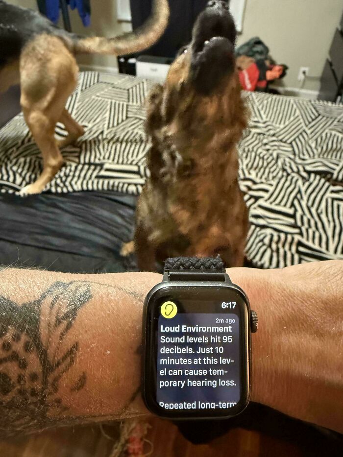 A smartwatch warning of a loud environment as a dog howls loudly in the background.